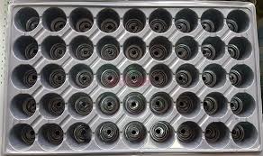 tavite_alveolare_45 tavite_alveolare_45