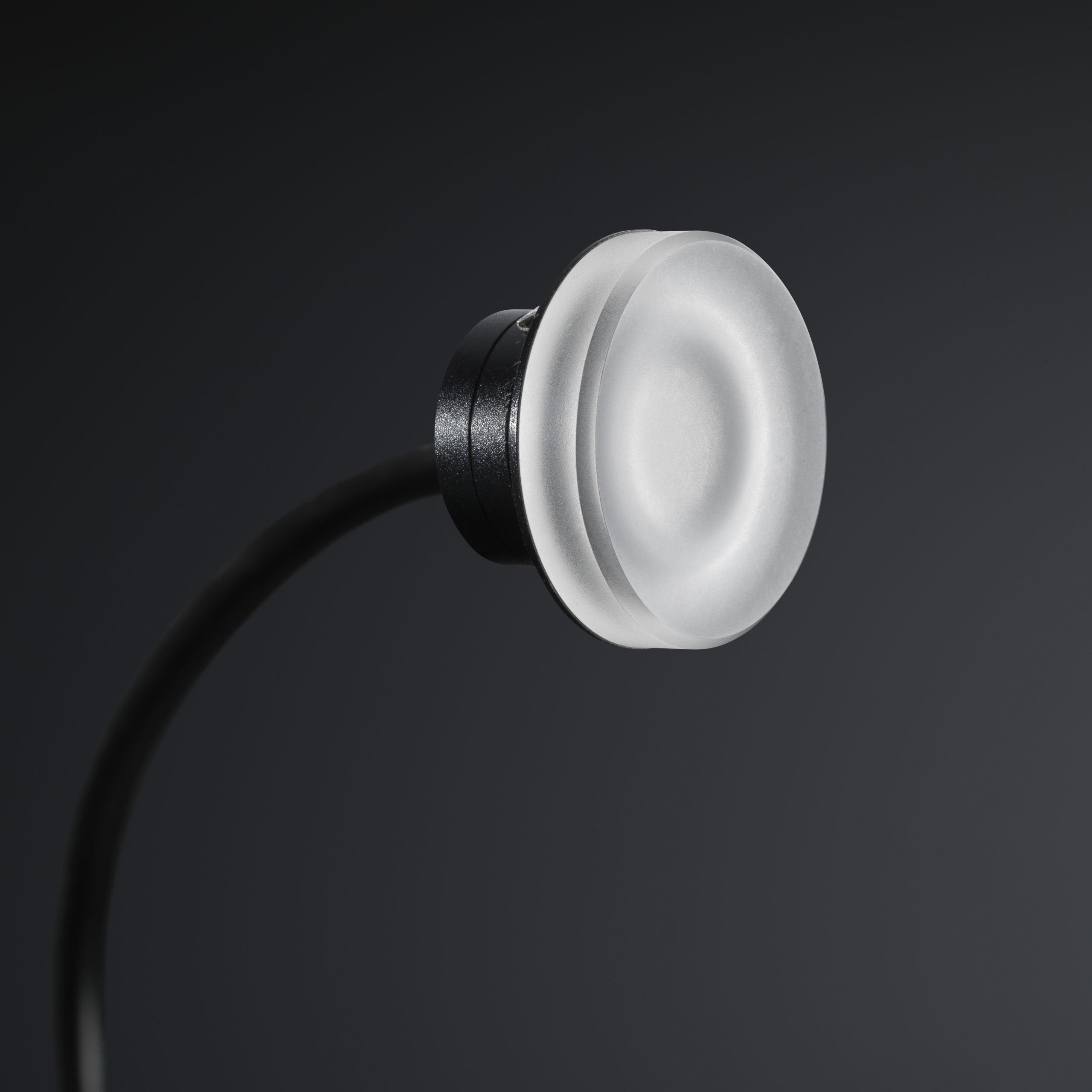 L2559-1 L2559-1