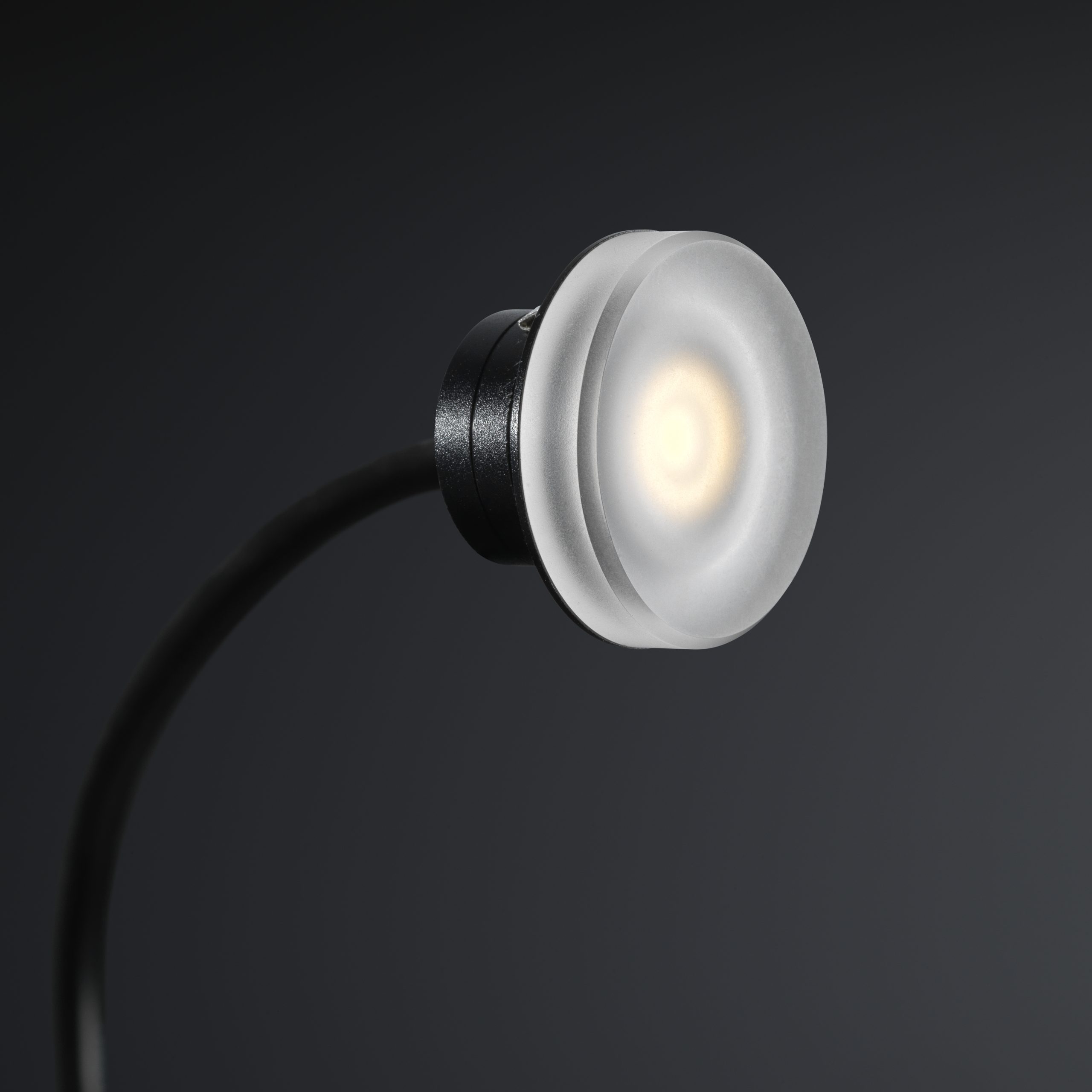 L2559-2 L2559-2